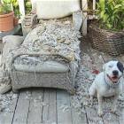 Made Your Bed