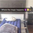 Magical