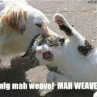 Mah Weave