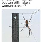 Make Her Scream