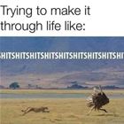 Make It Through Life