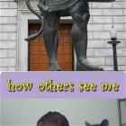 Male Cat Owner