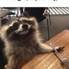 Mam