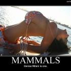 Mammals