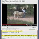 Man Attacks Lions