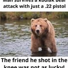 Man Survives