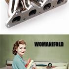 Manifold