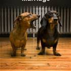 Marriage