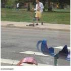 Martini Cat Man