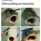 Mascara