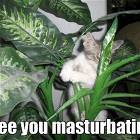Masturbating