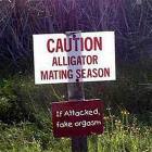 Mating Season