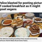 May Upset Vegans