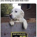 Maybe I Will