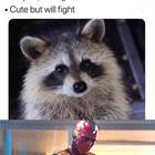 Maybe It Is I