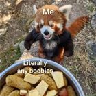 Me