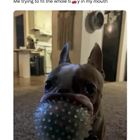 Me