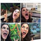 Me At Pet Stores