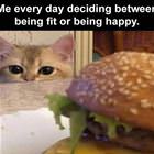 Me Every Day