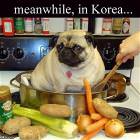Meanwhile