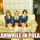 Meanwhile