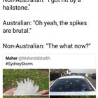Meanwhile In Australia