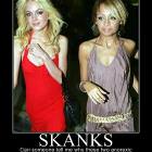 Media Darlings