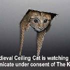 Medieval Cat