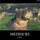 Mediocre