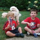 Memorys