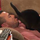 Meooow