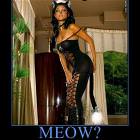 Meow