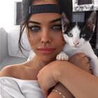 Meow 18