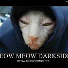 Meow Meow Darkside