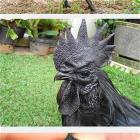 Metal Chicken