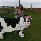 Milk Milk