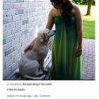 Miss My Doggy