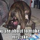 Mistake