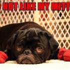 Mittens