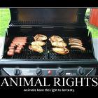 Mmmm Animals