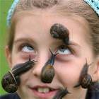 Mmmm Snails