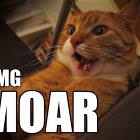 Moar