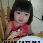 Moar Catz Plz