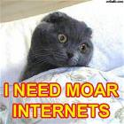 Moar Interrnets