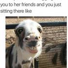 Mom Is Bragging About You