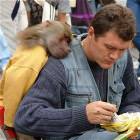 Monkey Wants