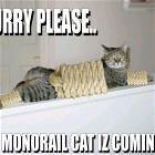 Monorail Cat Is Coming