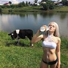Mooooooo