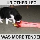 More Tender