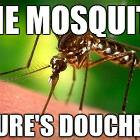 Mosquito
